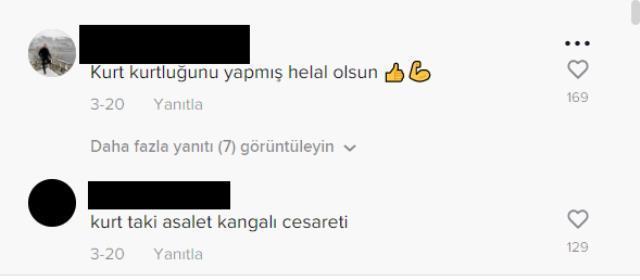 Koyunları parçalamaya gelen kurt, kangalın 'ölüm vuruşuyla' yere serildi