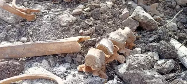 Askerlerin köyde yaptığı kazı merak uyandırdı! Topraktan çıkan kemikler yüzünden giriş - çıkış yasaklandı