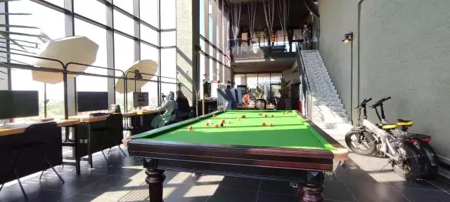 Yırtıcı kuş gazeteye yuva yaptı, ofise her gün yılan ve fare taşıyor! Haberciler diken üstünde