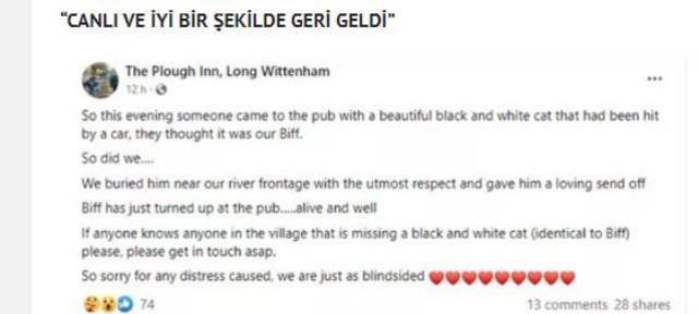 Ölen kedisini toprağa gömdü, 2 saat sonra yaşadıkları nedeniyle başından aşağı kaynar sular döküldü