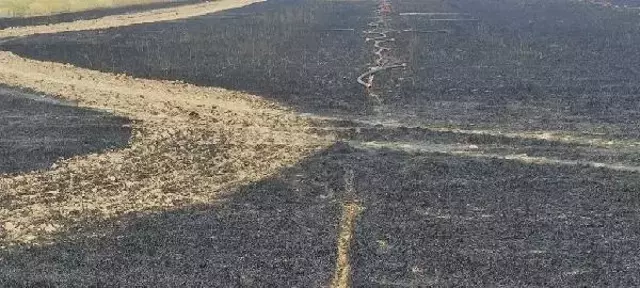 Kartalın Trafoya Girmesi Sonucu Çıkan Yangında 1 Milyon TL Zarar