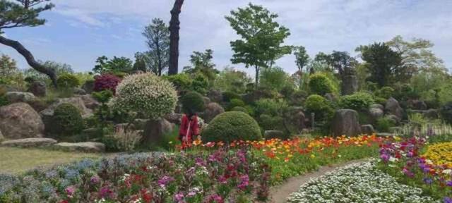 Doğal Güzelliği ile Keşfedilmeyi Bekleyen Bir Güney Kore Şehri: Suncheon