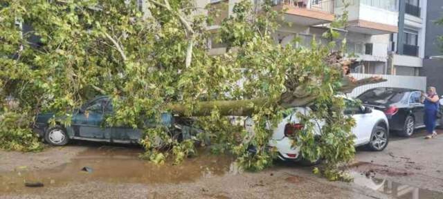 Ağaçlar devrildi, havalimanında uçuşlar durdu! Sağanak ve fırtınanın vurduğu Antalya'ya 15 dakika yetti