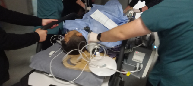 15 yaşındaki çocuk çobanı vurdu; tüfeği almaya çalışan kendi babası da yaralandı
