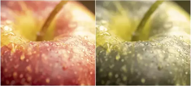 Renk Körlüğü Nedir? Renk Körlüğü Testi Nasıl Yapılır?