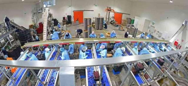 Dct Trading halka arz oldu mu? Dct Trading katılım endeksine uygun mu, kaç lot veriyor?