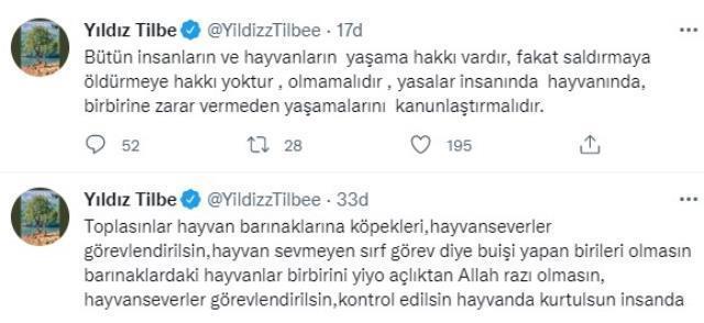 Yıldız Tilbe'den tepki çekecek çıkış: Saldırgan köpeklere zehirli et verin, gebersinler