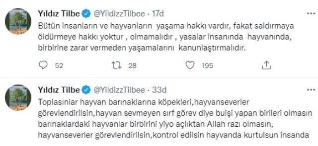 Yıldız Tilbe'nin tepki çeken sokak köpeği çıkışına Datça Belediyesi'nden yanıt: Tatil için bizi tercih etmeyin