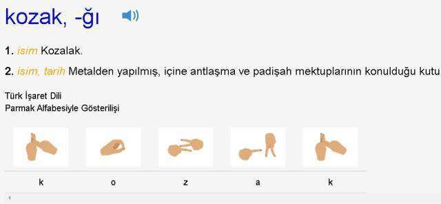 Kozalak ne demek, nedir? Kozak nedir? TDK'ya göre kozalak ne demek?