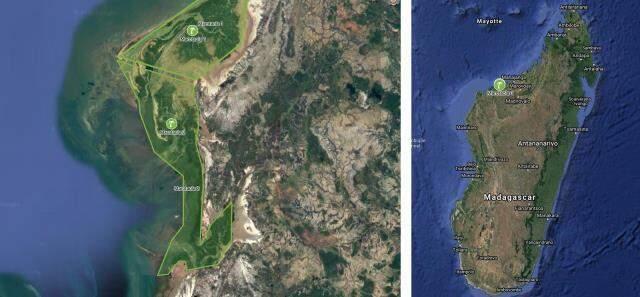 Alba: A Wild Adventure oyunu geliştiricileri Güney Afrika'da bir milyonu aşkın ağaç dikti