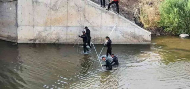 Narin bulundu mu, Narin ne zaman kaybolmuştu? Narin nerede aranıyor?