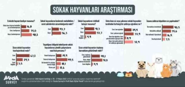 Sokak hayvanları anket sonuçları! Sokak köpekleriyle ilgili anket sonuçları nedir?