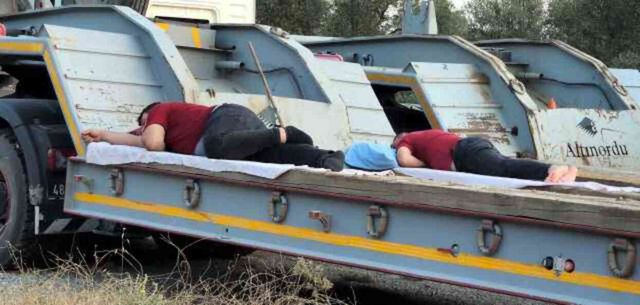 Bodrum'dan yükselen alevler 18 saatte kontrol altında! 100 hektarlık tahribat gün ağarınca ortaya çıktı