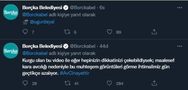 Çoruh Nehri'nde ren geyikleri görüldü iddiası