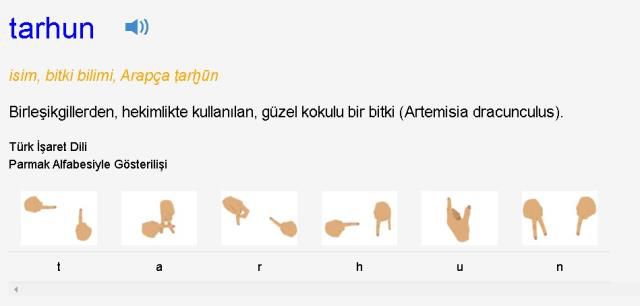 Tarhun çorbası nedir, nasıl yapılır? Tarhun çorbası ve Tarhana çorbası aynı mı? Tarhun çorbası neyden yapılıyor? Tarhun nedir, ne demek?