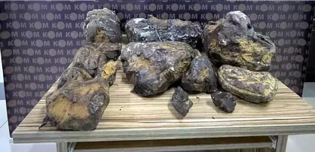 Mersin'de balina kusmuğu ele geçirildi! Değeri 10 milyon TL