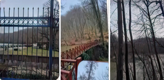 Belgrad Ormanı'nda Kayıp Kadın İçin Arama Çalışmaları Sürüyor