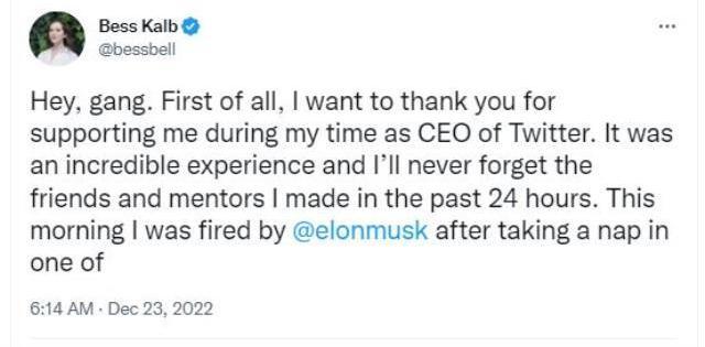 Twitter'ın yeni CEO'su olduğu iddia edilen kadın hakkındaki gerçek ortaya çıktı