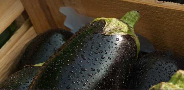 Çöpe atılan patlıcan sapı şifa deposu çıktı! Faydaları inanılmaz