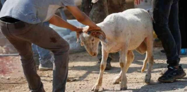 Kurban Bayramı'nda yapılacak ibadetler neler? Bayramın 1. günü hangi ibadetler yapılır?