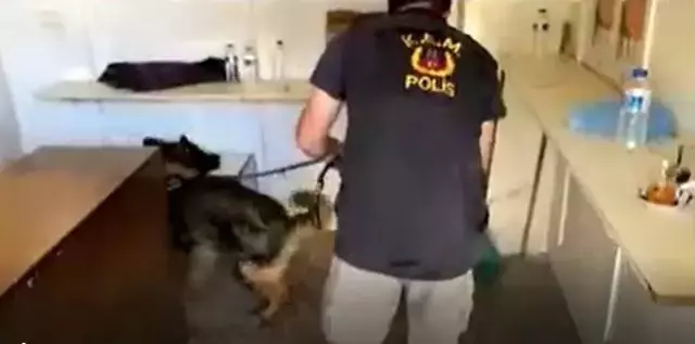 KOM'dan 'Nefes' operasyonu! Devleti zarara uğratmak isteyenler kıskıvrak yakalandı