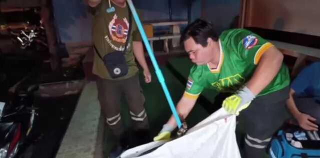 Yaşlı Adam uyuduğu sıra bacağına dolanın yılanı ısırarak kurtuldu