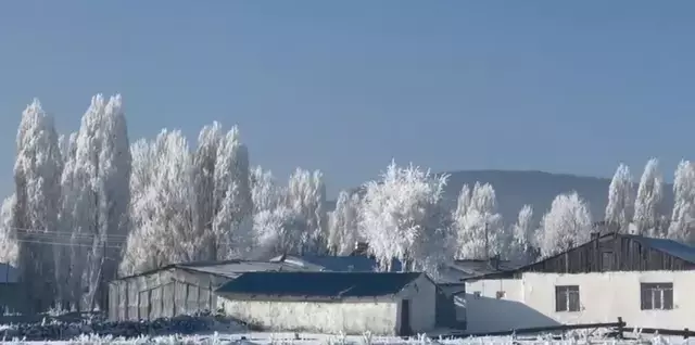 Ardahan'ın Göle ilçesi, eksi 20'yi gördü; ağaçlar kırağı tuttu