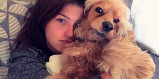 Tasmasız dolaştırılan pitbull tarafından parçalanan köpeğin sahipleri harekete geçti