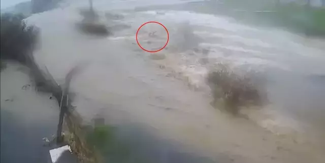 Sel bölgesinde mahsur kalan araçlar ve su taşkını