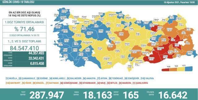Son Dakika: Türkiye'de 16 Ağustos günü koronavirüs nedeniyle 165 kişi vefat etti, 18 bin 163 yeni vaka tespit edildi