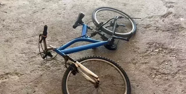 Yine başıboş sokak köpeği terörü! Saldırdıkları çocuğun kasığına, bisikletin demiri saplandı