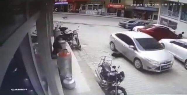 İzleyenlerin içi sızladı! Köpeği göz göre göre ezip, arkasına bile bakmadan kaçtı