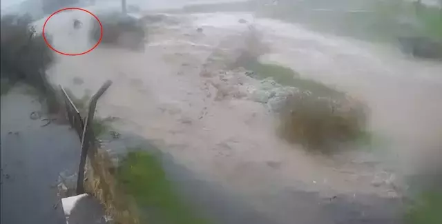 Foça'da sele kapılan kişinin güvenlik kamerası görüntüsü
