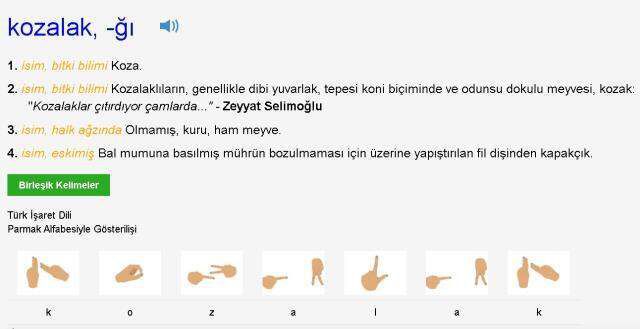 Kozalak ne demek, nedir? Kozak nedir? TDK'ya göre kozalak ne demek?