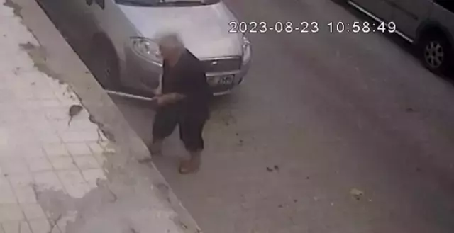 İzmir'de Fare Tarafından Isırılan Yaşlı Kadın Hastanelik Oldu