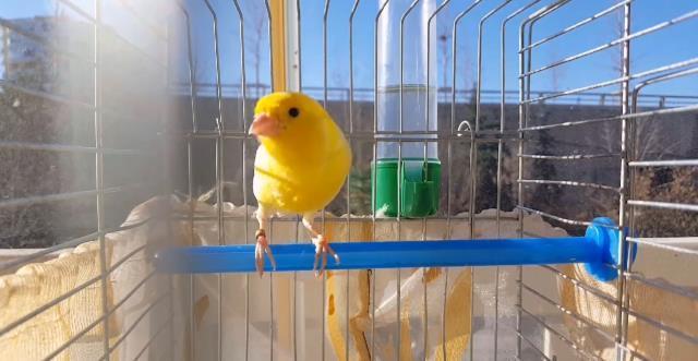 Galatasaray'dan Fenerbahçe'nin göndermesine cevap! Beğenilerin ardı arkası kesilmiyor