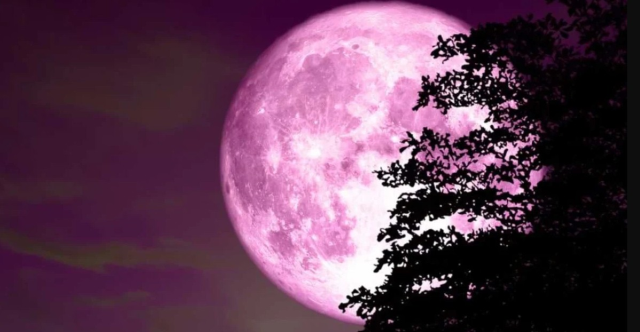 DOLUNAY NE ZAMAN: 13 Nisan pembe dolunay nedir, ne zaman görülecek?