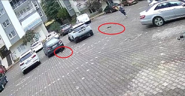 Genç kadın peşindekilerden dakikalarca kaçtı, videoyu izleyen gülmekten kıldı