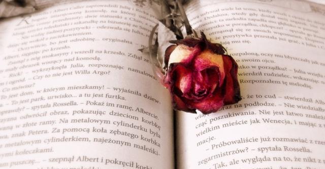 En güzel bio yazıları nelerdir? En güzel bio sözler nelerdir? En güzel instagram biyografi yazıları nelerdir?