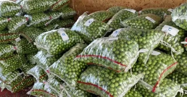 Kilosu 50 lira olan erik, Mersinli üreticinin yüzünü güldürüyor