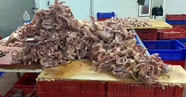 Yer: Adana! Ağızlarında sigara, üstleri çıplak tavuk kestiler, bir de oynadılar