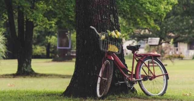 Rüyada bisiklet görmek ne anlama gelir? Rüyada kırmızı, mavi bisiklet görmek ne demek?