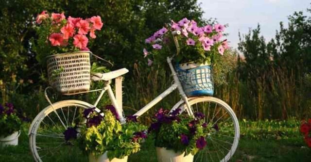 Rüyada bisiklet görmek ne anlama gelir? Rüyada kırmızı, mavi bisiklet görmek ne demek?