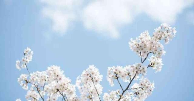 Cemre düştü mü 2024? İlk cemre düştü mü, ne zaman düşecek? Cemre hangi tarihte düşer?