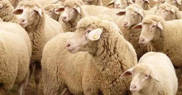 Kurban bayramı ne zaman? 2024 Kurban Bayramı'na kaç gün kaldı?