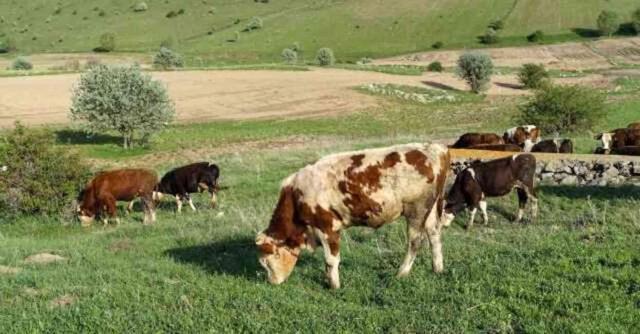 KURBAN BAYRAMI İKRAMİYESİ | Bayram ikramiyesi ne zaman yatacak? Emekli bayram ikramiyesi hangi tarihte yatacak?