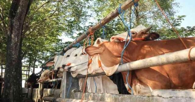 KURBAN BAYRAMI İKRAMİYESİ | Bayram ikramiyesi ne zaman yatacak? Emekli bayram ikramiyesi hangi tarihte yatacak?