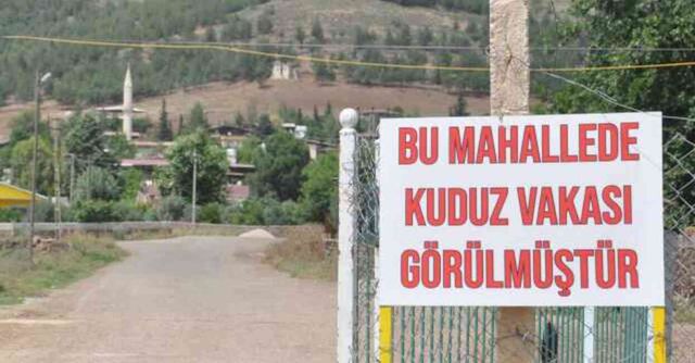 Vatandaşı ısırıp ölen köpek kuduz çıktı, mahalle 6 ay karantinaya alındı