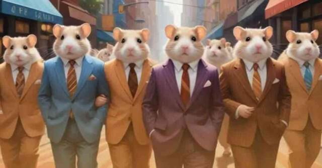 12 TEMMUZ HAMSTER KOMBAT GÜNLÜK ŞİFRE KOMBO | Hamster Kombat yeni şifre ne, nasıl kullanılır? Hamster Kombat nedir?