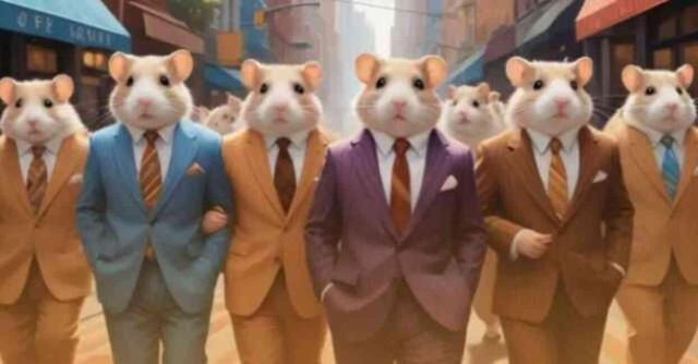 19 TEMMUZ HAMSTER KOMBAT GÜNLÜK ŞİFRE KOMBO | Hamster Kombat yeni şifre ne, nasıl kullanılır? Hamster Kombat nedir?